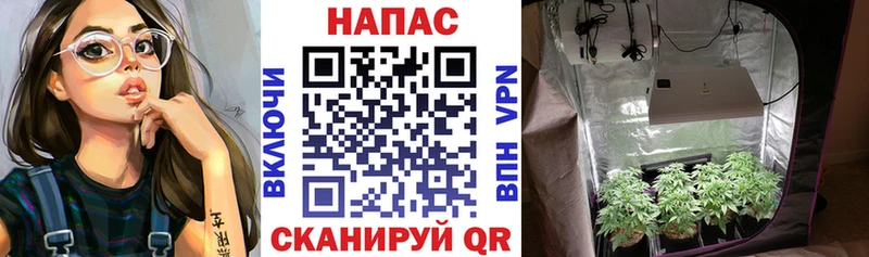 Бошки Шишки VHQ купить сайты Асбест
